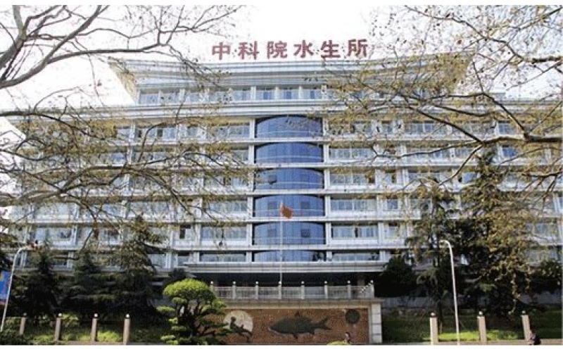中科院水生所